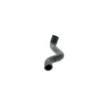 Vaico V20-1238 Radiator Coolant Hose - Lower - Engine To Pipe - view 3