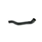 Vaico V20-1238 Radiator Coolant Hose - Lower - Engine To Pipe - view 5