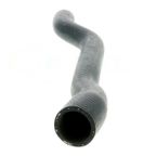 Vaico V20-1349 Radiator Coolant Hose - Lower - Engine To Water Manifold - view 3