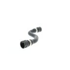 Vaico V20-1607 Engine Coolant Hose - view 4