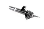 Vaico V20-2180 Suspension Strut - Front Right - view 2
