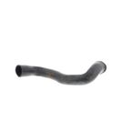 Vaico V20-2462 Radiator Coolant Hose - Upper - view 5