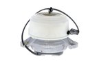 Vaico V30-2499 Engine Mount - Front Right - view 1