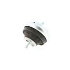 Vaico V40-1315 Engine Mount - Front - view 4