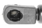 Vaico V95-0134 Liftgate Lift Support - Left - view 2