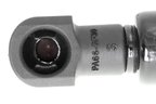 Vaico V95-0193 Hood Lift Support - view 4