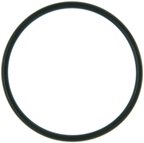 Mahle G31918 Fuel Injection Plenum Gasket - view 1