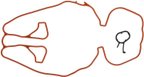 Mahle MS19455 Engine Intake Manifold Gasket Set - view 2