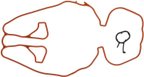 Mahle MS19455 Engine Intake Manifold Gasket Set - view 3
