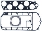 Mahle MS19699 Fuel Injection Plenum Gasket Set - view 1