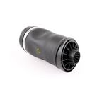 Vemo V30-50-0022 Air Suspension Strut - Rear - view 2