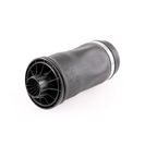 Vemo V30-50-0022 Air Suspension Strut - Rear - view 4