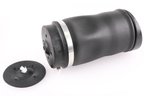 Vemo V30-50-0022 Air Suspension Strut - Rear - view 1