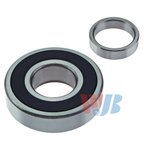 InMotion WB511031 Wheel Bearing - Rear Inner - view 2