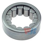 InMotion WB513067 Wheel Bearing - Rear - view 1