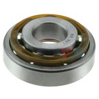 InMotion WBB67 Wheel Bearing - Front Outer - view 1