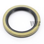 InMotion WS1973 Engine Crankshaft Seal - Front, Front Inner or Rear Inner - view 1