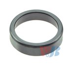 InMotion WT14276 Axle Differential Bearing Race - view 1