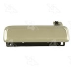 ACI 360310 Exterior Door Handle - Front Left - view 1