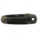 ACI 360606 Exterior Door Handle - Front Left - view 1