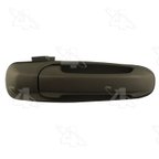 ACI 60602 Exterior Door Handle - Front Right - view 1