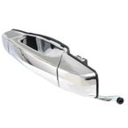 WAI 360284 Exterior Door Handle - Rear Right - view 1
