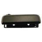 WAI 360313 Exterior Door Handle - Front Right - view 1