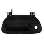 WAI 360319 Tailgate Handle - view 4