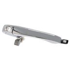 WAI 360612 Exterior Door Handle - Front Left - view 1