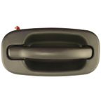 WAI 60204 Exterior Door Handle - Front Right - view 1