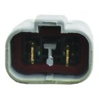 WAI DST17426 Distributor - view 1