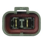 WAI DST17483 Distributor - view 1