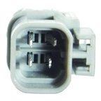 WAI DST58423 Distributor - view 1
