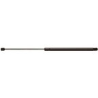StrongArm 4289 Hood Lift Support - view 1