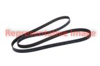 Roadmax 17313AP Accessory Drive Belt - view 3