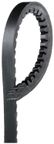 Roadmax 17320AP Accessory Drive Belt - view 2