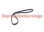 Roadmax 6K747AP Serpentine Belt - view 3