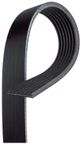 Roadmax 7K975AP Serpentine Belt - view 2