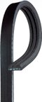 Gates K030195SF Serpentine Belt - Water Pump - view 1