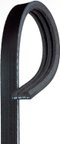 Gates K030245 Serpentine Belt - Power Steering, Power Steering and Water Pump or Water Pump To Power Steering - view 1