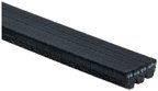 Gates K030301SF Serpentine Belt - Water Pump - view 1