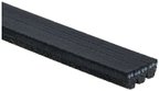 Gates K030425 Serpentine Belt - Alternator - view 2