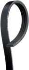 Gates K040560 Serpentine Belt - Air Conditioning or Air Conditioning and Power Steering - view 1