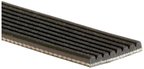 Gates K080418A Serpentine Belt - Fan - view 1