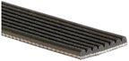 Gates K080661A Serpentine Belt - Alternator or Supercharger - view 2