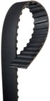 Gates T067 Engine Timing Belt - view 1