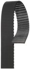 Gates T240 Engine Timing Belt - view 4