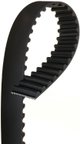 Gates T243 Engine Timing Belt - view 1