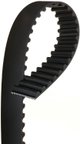 Gates T244 Engine Timing Belt - view 1