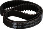 Gates T245 Engine Timing Belt - view 3